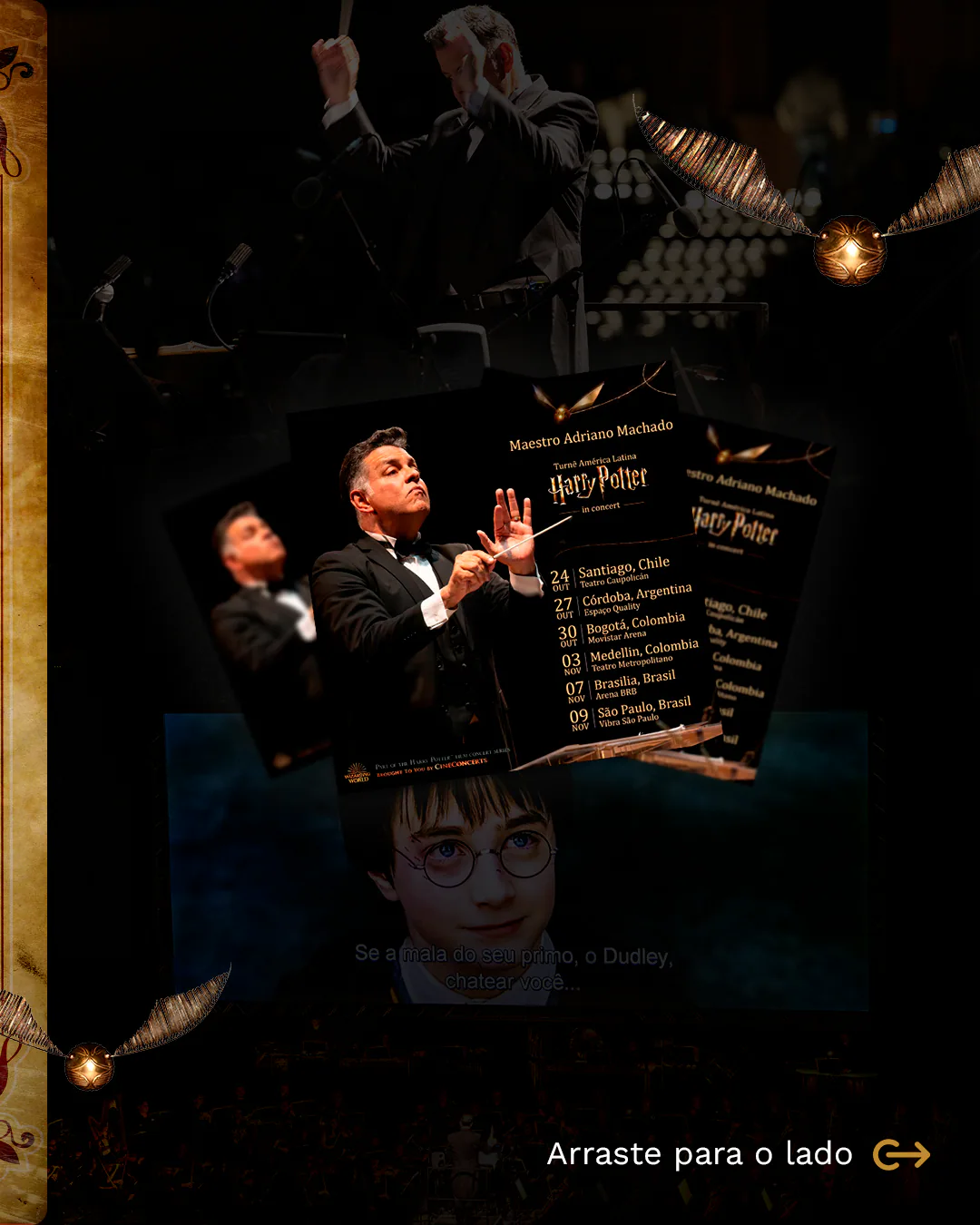 Arte 5 do carrossel Harry Potter in Concert